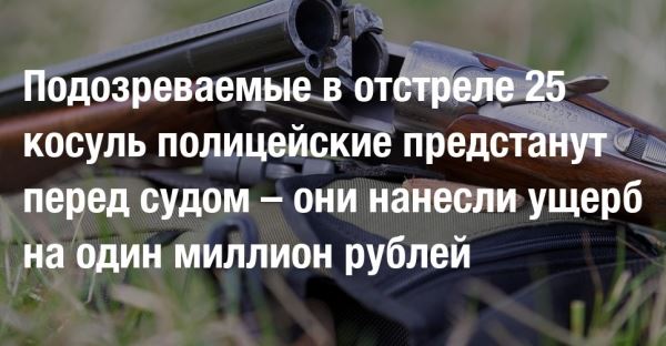 Подозреваемые в отстреле 25 косуль полицейские предстанут перед судом – они нанесли ущерб на один миллион рублей 