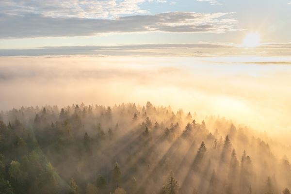 В Карелии завершился шестой фестиваль фотографии на природе Nature Photo Camp