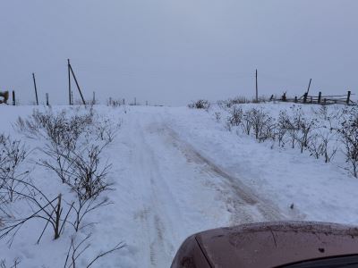 Запоздалые итоги зимнего сезона 21-22